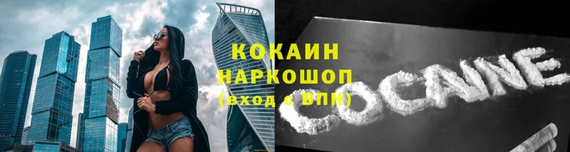 Кокаин FishScale  купить закладку  Богородицк 